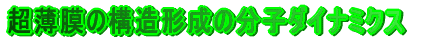 ̍\`̕q_Ci~NX