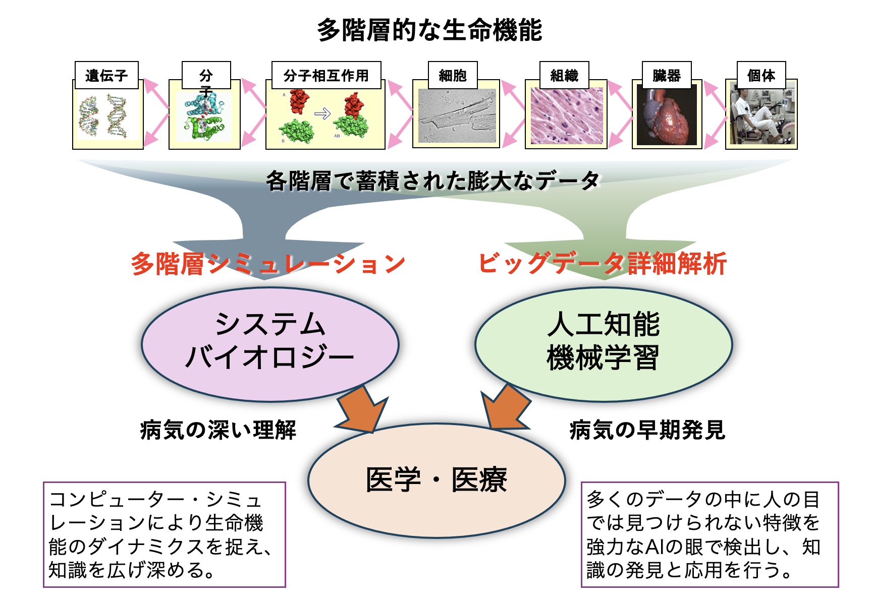 Science Frame Image