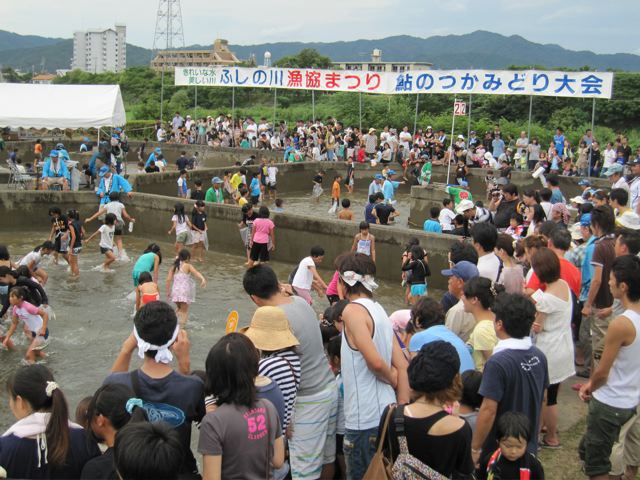 鮎のつかみ取り