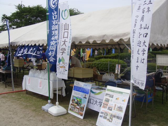 2015_festival_1