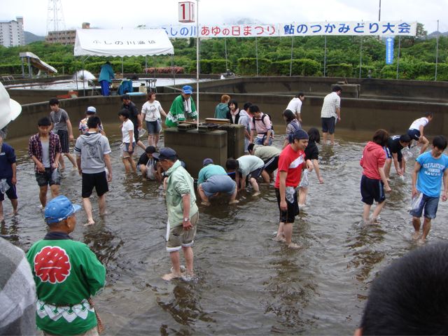 鮎のつかみ取り