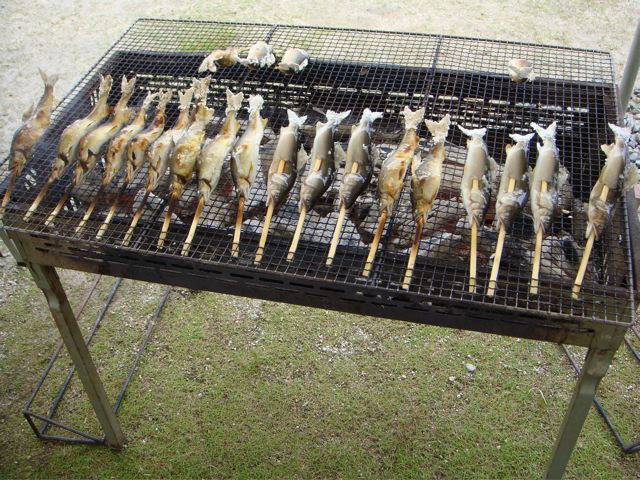 柑味鮎の塩焼き