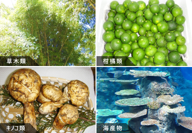 フレーバー,フレグランス,フェロモン,アレロケミカル,生物農薬(交信撹乱物質),抗菌剤,機能性食品,疲労回復