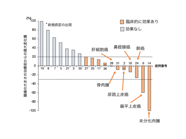 犬のがんに対する免疫チェックポイント分子阻害抗体医薬(抗PD-1犬化抗体)の適応拡大が期待 ~犬の扁平上皮癌と未分化肉腫に治療が奏効した初報告~