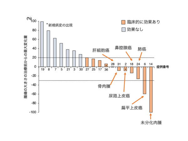 犬のがんに対する免疫チェックポイント分子阻害抗体医薬(抗PD-1犬化抗体)の適応拡大が期待 ～犬の扁平上皮癌と未分化肉腫に治療が奏効した初報告～