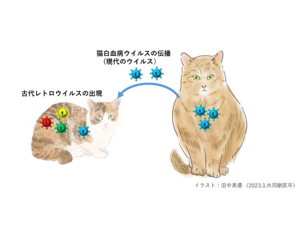 死灰復然：古代レトロウイルス リバイバル