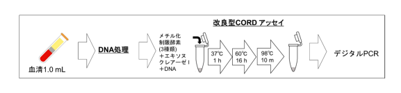 肝細胞がんに対するリキッドバイオプシー検査と腫瘍マーカーを組み合わせた新規診断インデックスの開発