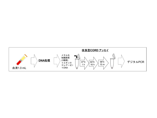 肝細胞がんに対するリキッドバイオプシー検査と腫瘍マーカーを組み合わせた新規診断インデックスの開発