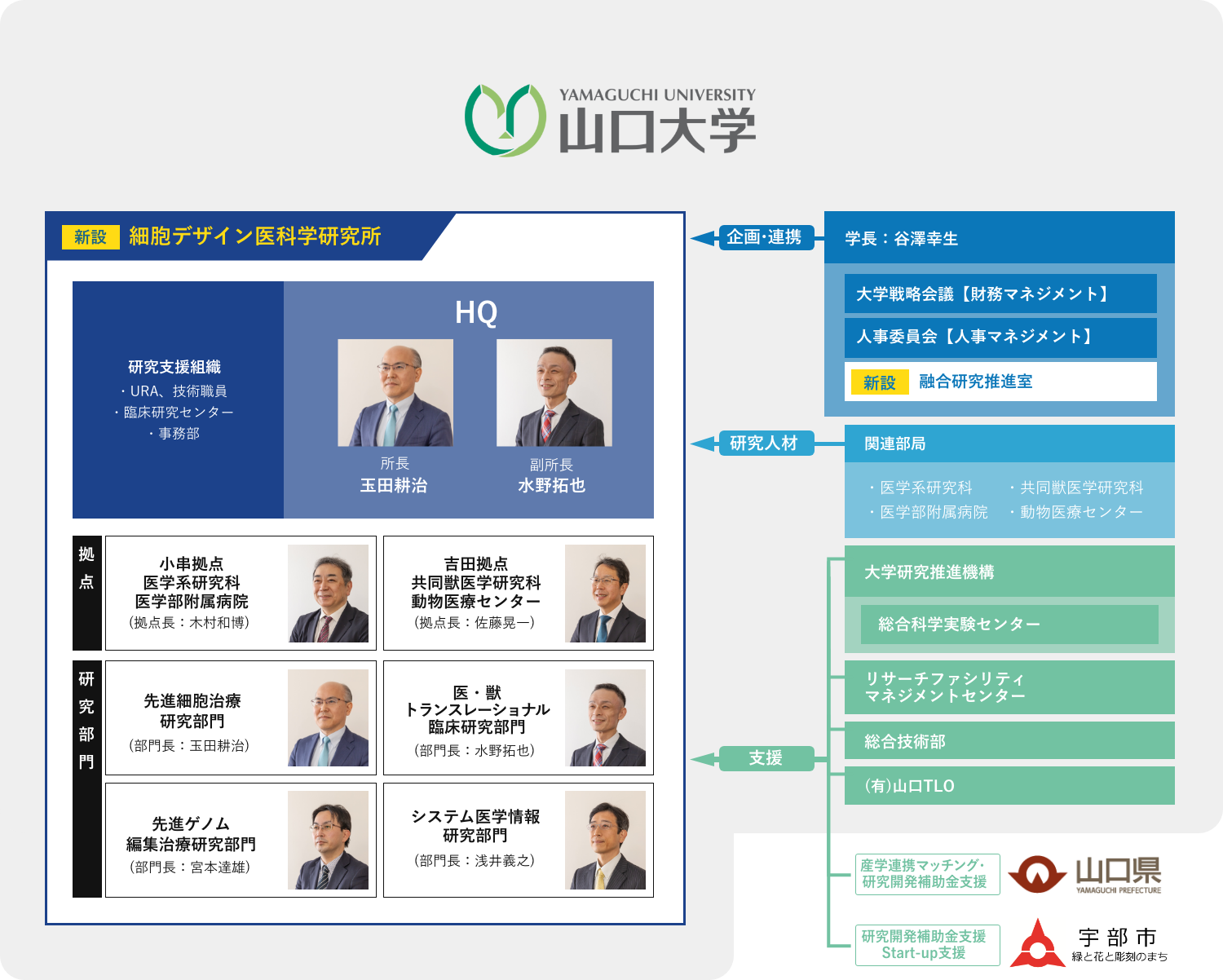 細胞デザイン医科学研究所体制図