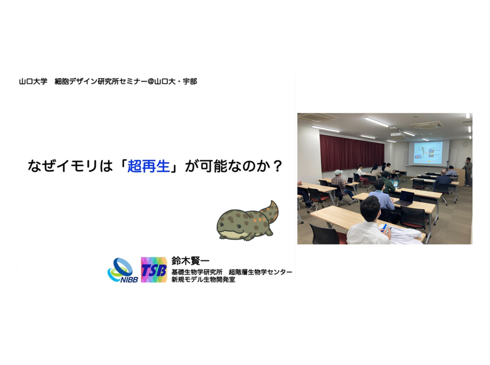 *ご報告*  外部講師セミナー(先進ゲノム編集治療研究部門)を開催しました