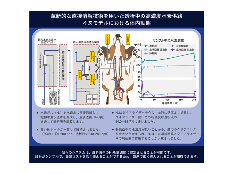 透析患者のQOL向上に新たな光、副作用を抑える革新的な「高濃度水素水透析システム」を開発―体外循環回路内で水素を直接作用させる、安全でより安価な新技術を確立―