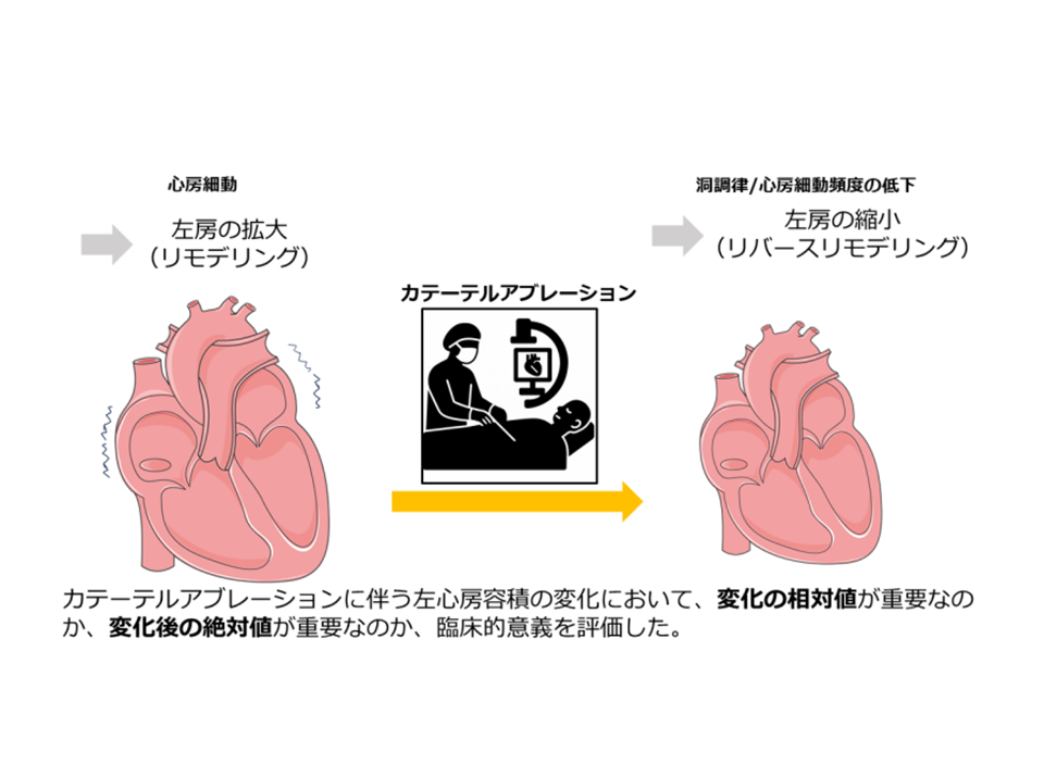 持続性心房細動アブレーション後の長期予後予測における新たな指標を発見―左心房が「どれだけ縮小したか」より「どれくらいの大きさになったか」が重要であることを解明―