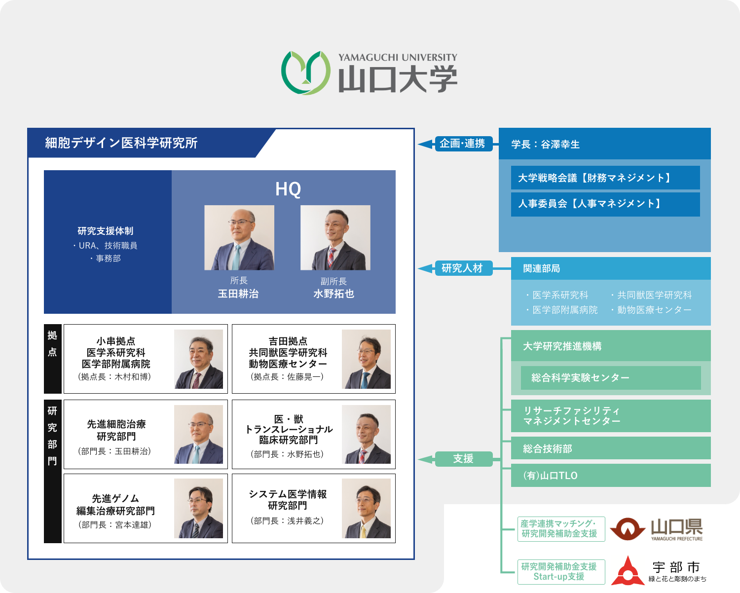 細胞デザイン医科学研究所体制図