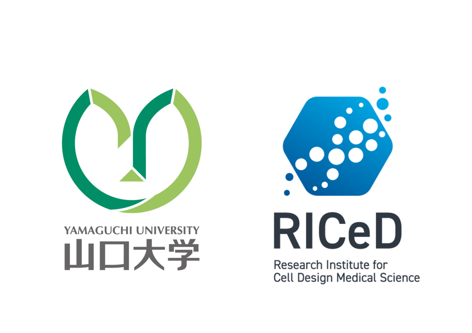 山口大学 細胞デザイン医科学研究所 -