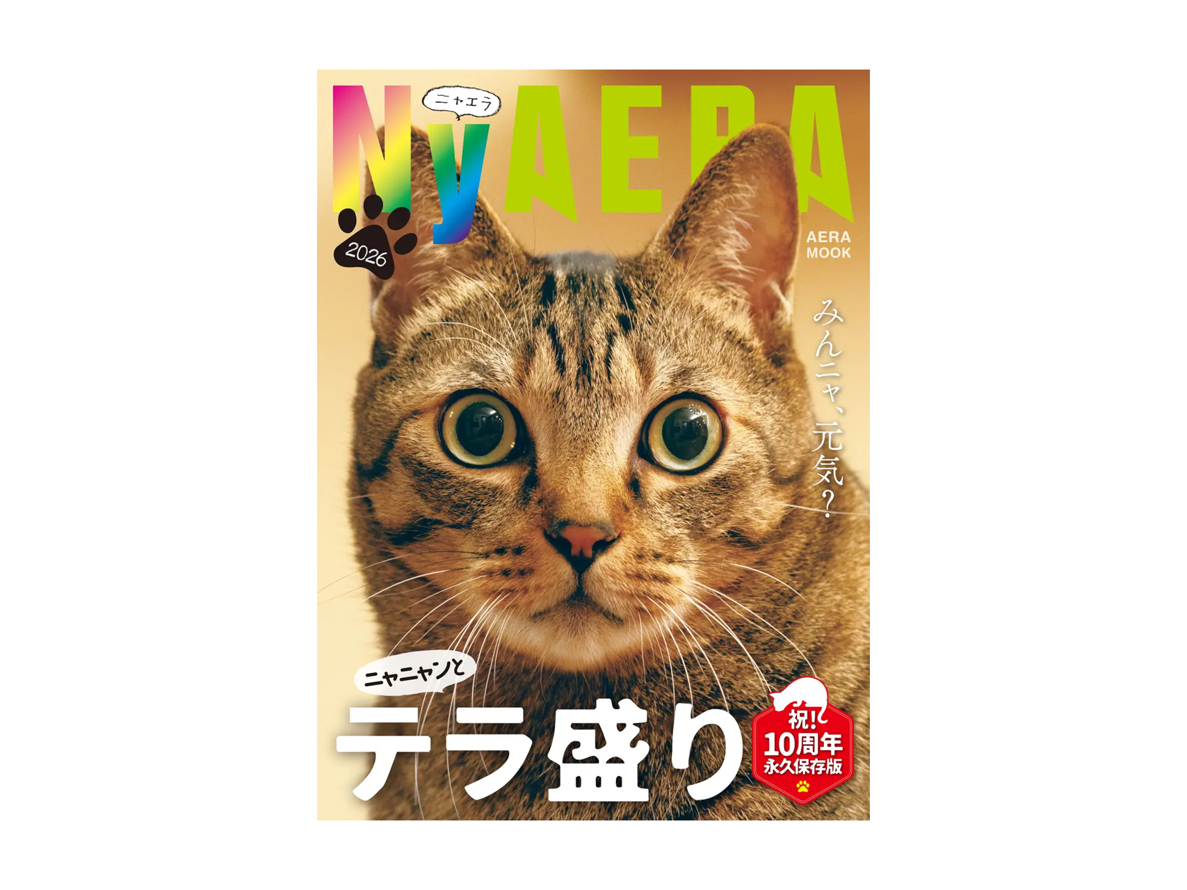 ＊記事掲載＊NyAERAに記事が掲載されました