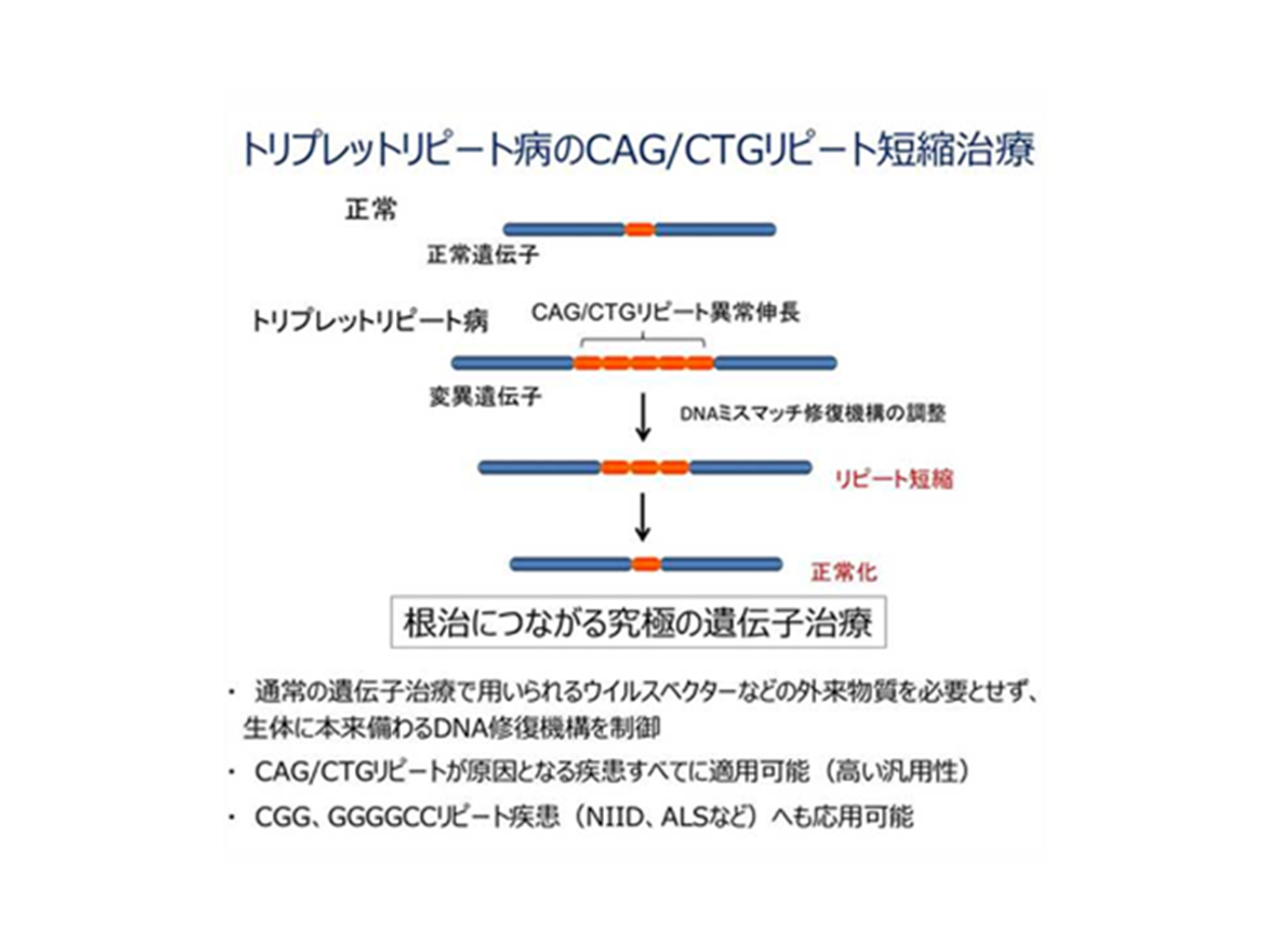 15.神経筋難病に対するゲノム編集治療開発（臨床神経学講座）