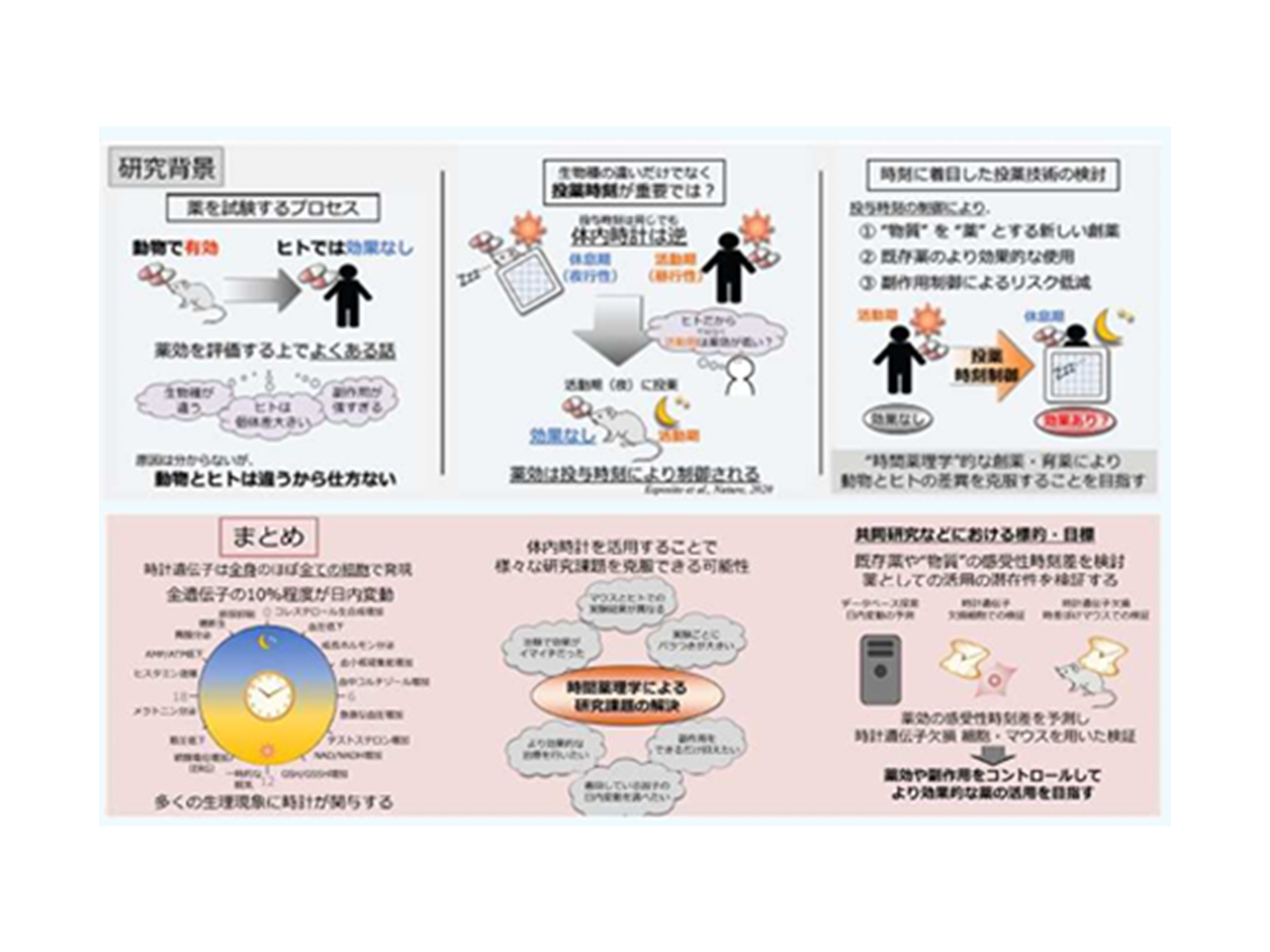 19.薬剤応答性の日内変動を活用した新しい創薬・投薬手法（眼科学講座）