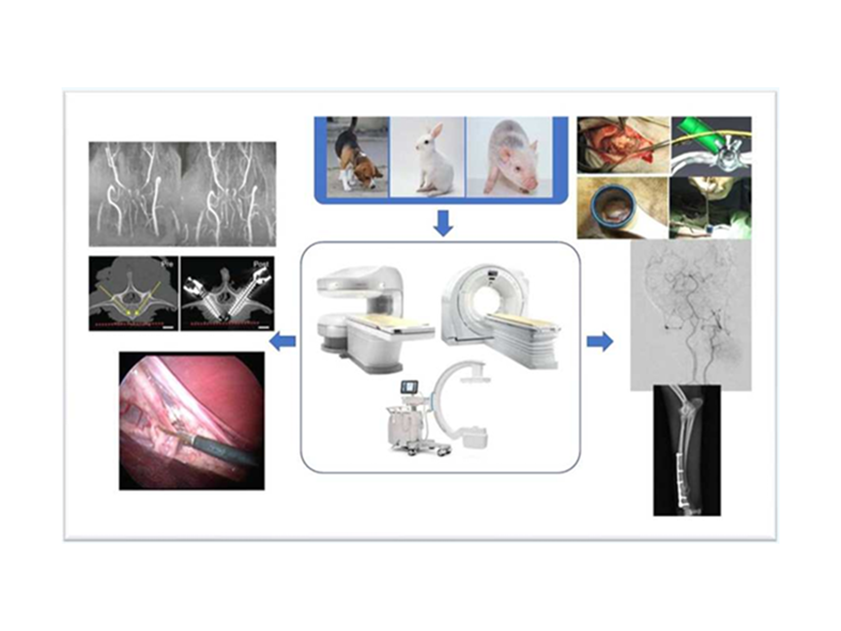 26.動物の侵襲制御/麻酔に関する研究　　小動物における鎮静麻酔時意識レベルおよび侵襲性の統合的評価法の開発（伴侶動物医療学研究室）