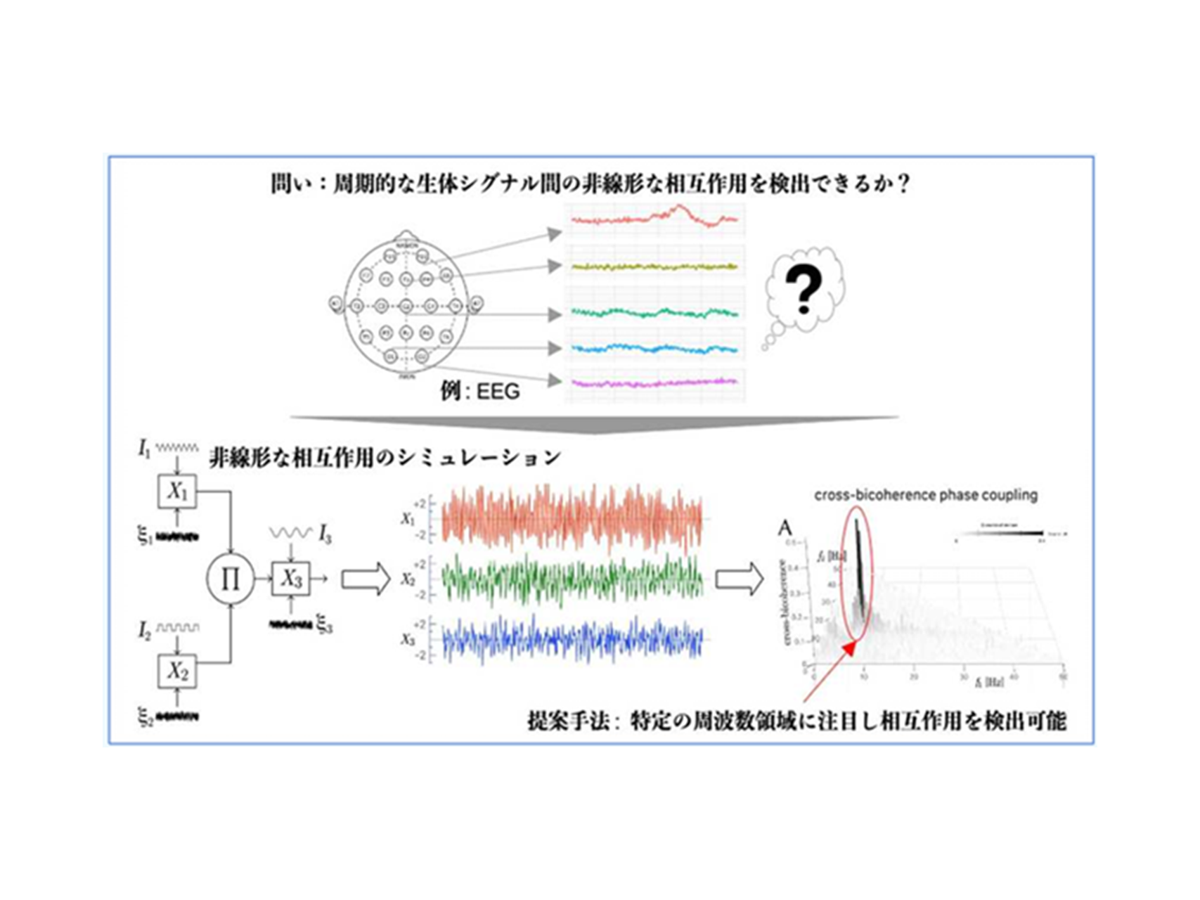 33.高次スペクトル解析による細胞間相互作用における病態・未病の検出 （AIシステム医学・医療研究教育センター）