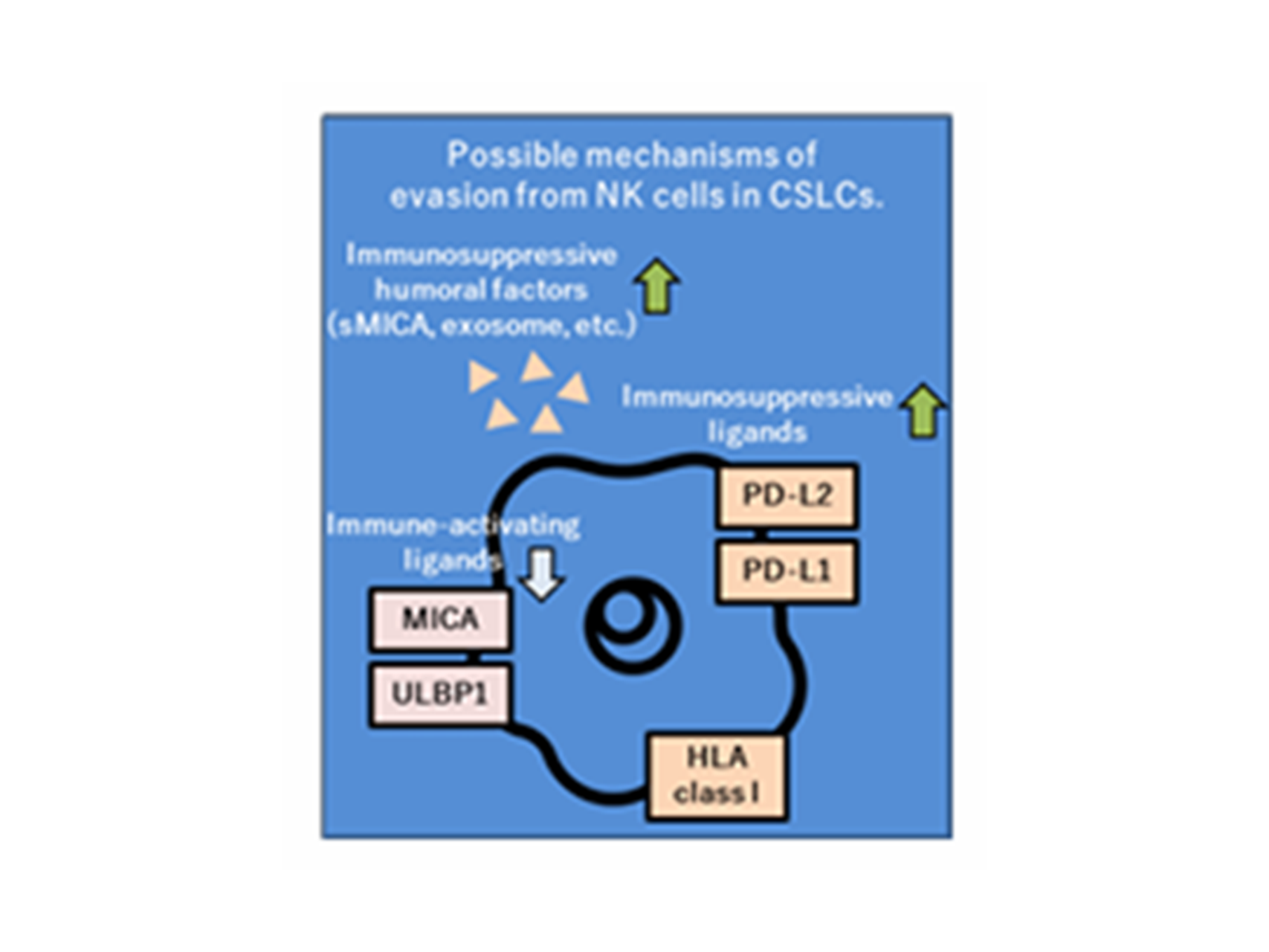 7.消化器癌に対する革新的治療法の開発と創薬展開（消化器・腫瘍外科学講座）
