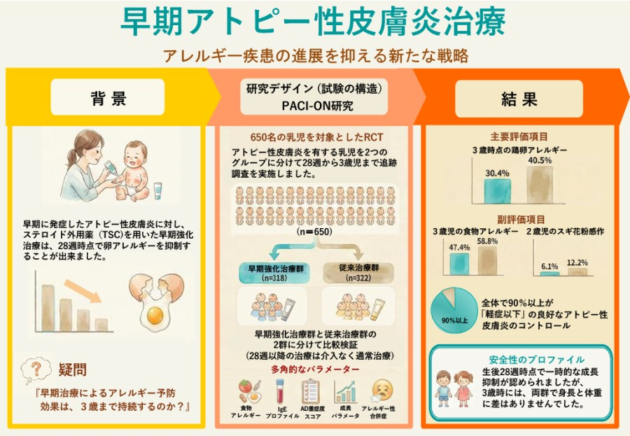 乳児期のアトピー早期強化治療、3歳時点でも食物アレルギーを抑制 ～早期介入で卵アレルギーも有意に減少～