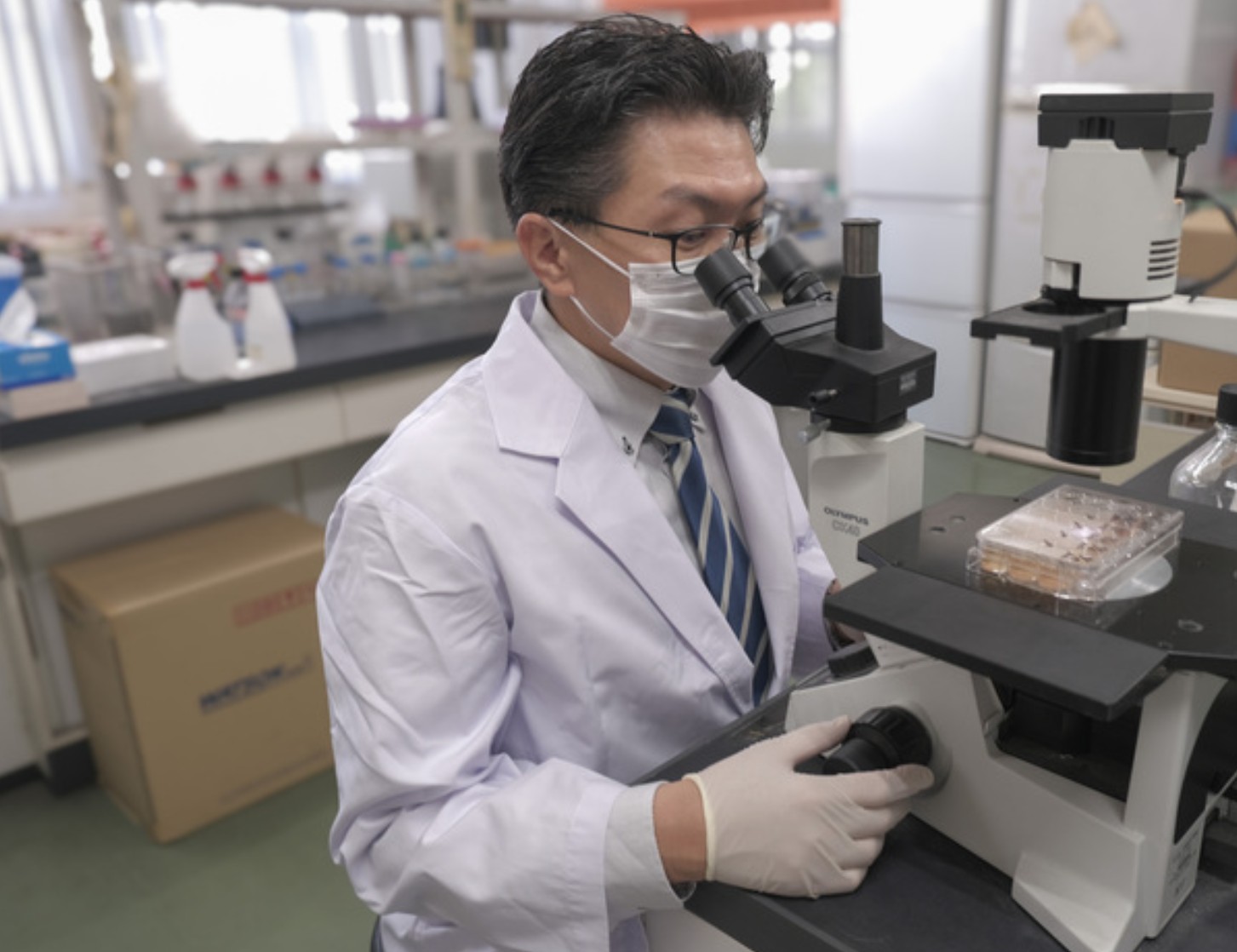 顕微鏡で観察する研究者