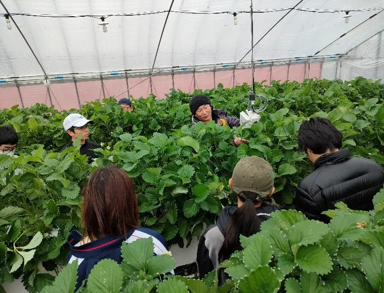 「秋野菜アラカルト」 を返礼品とした寄附募集