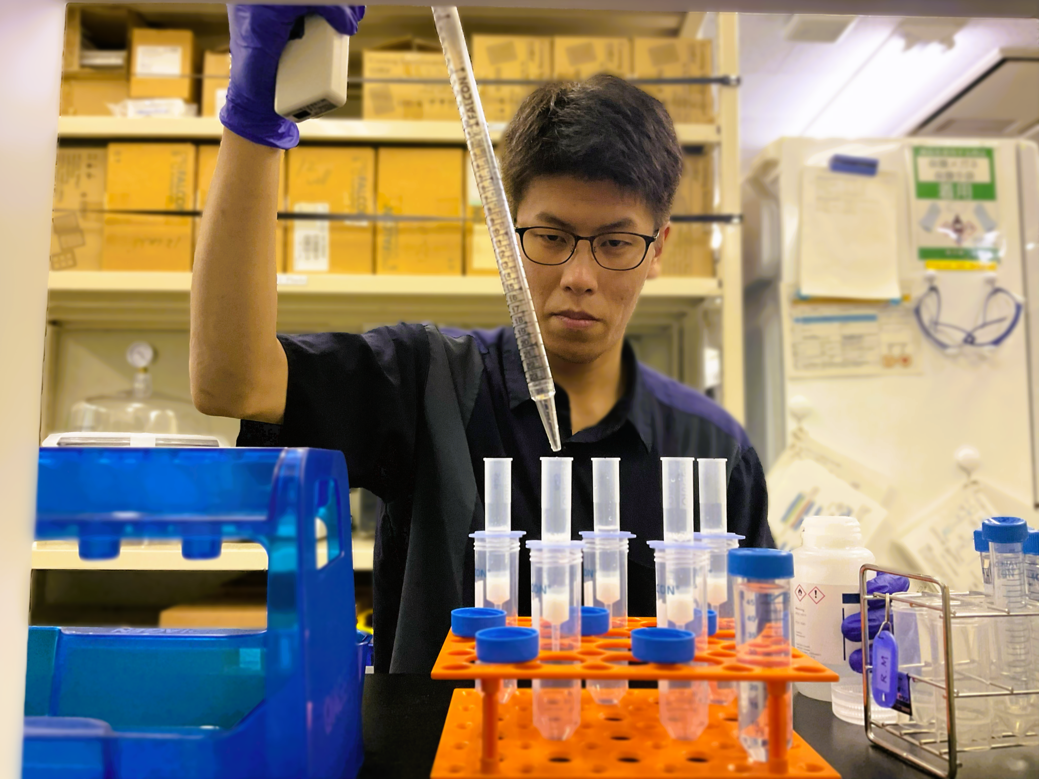 分子生物学実験