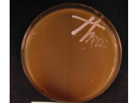 �C���[�W01