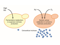 �C���[�W02