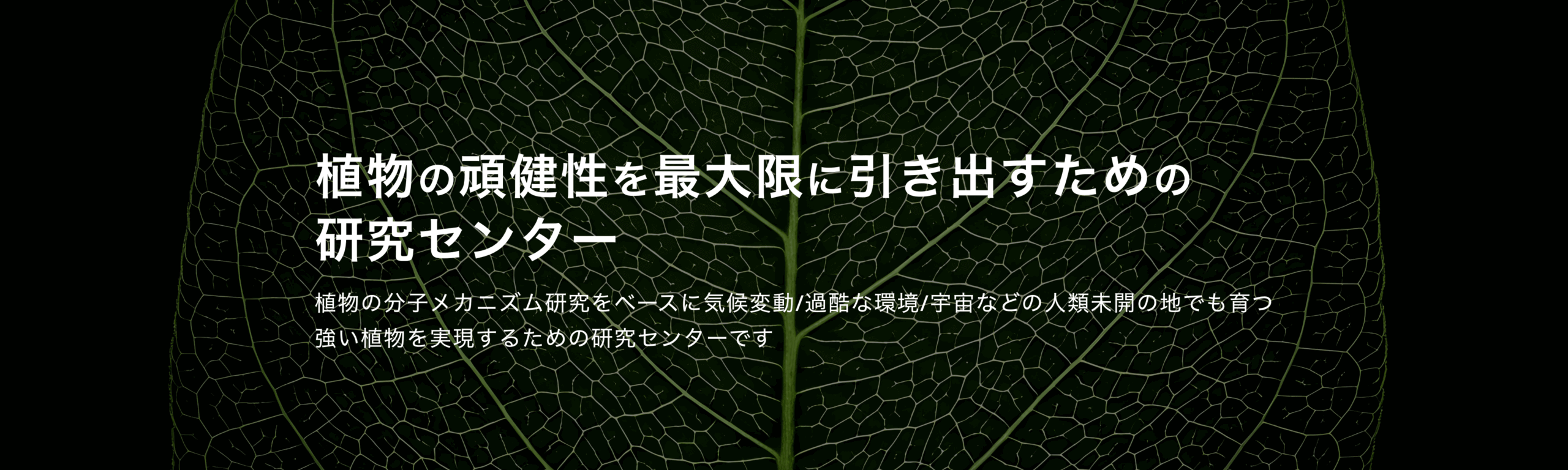 武宮班の冨士彩紗さんが Taiwan – Japan Plant Biology 2023 (TJPB2023) において Poster Presentation Excellence Award を受賞 - 山口大学 植物ロバストネス研究センター/Plant Robustness Research Center All Rights Reserved.